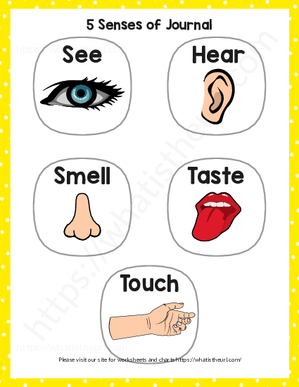 Kindergarten Science Worksheets Five Senses 5 Senses Flip Book Craft