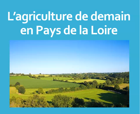 ceserPDL's tweet photo. Etude « l’agriculture de demain en Pays de la Loire »
Rapporteur Benoît ROCH @motsetpages
Présentation par Marc MARHADOUR @marhadour Président de Commission Economie-Emploi-Recherche-Innovation https://t.co/GbP9qVzj4U