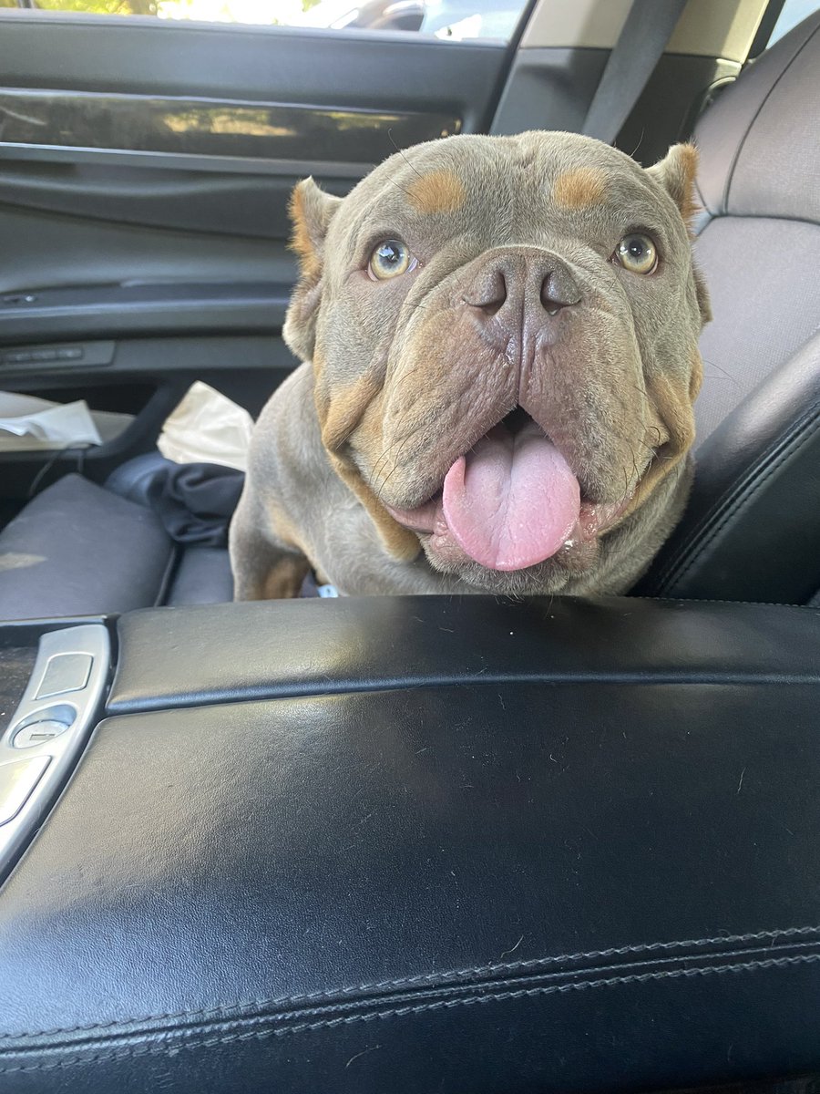 Got my thug wit me
