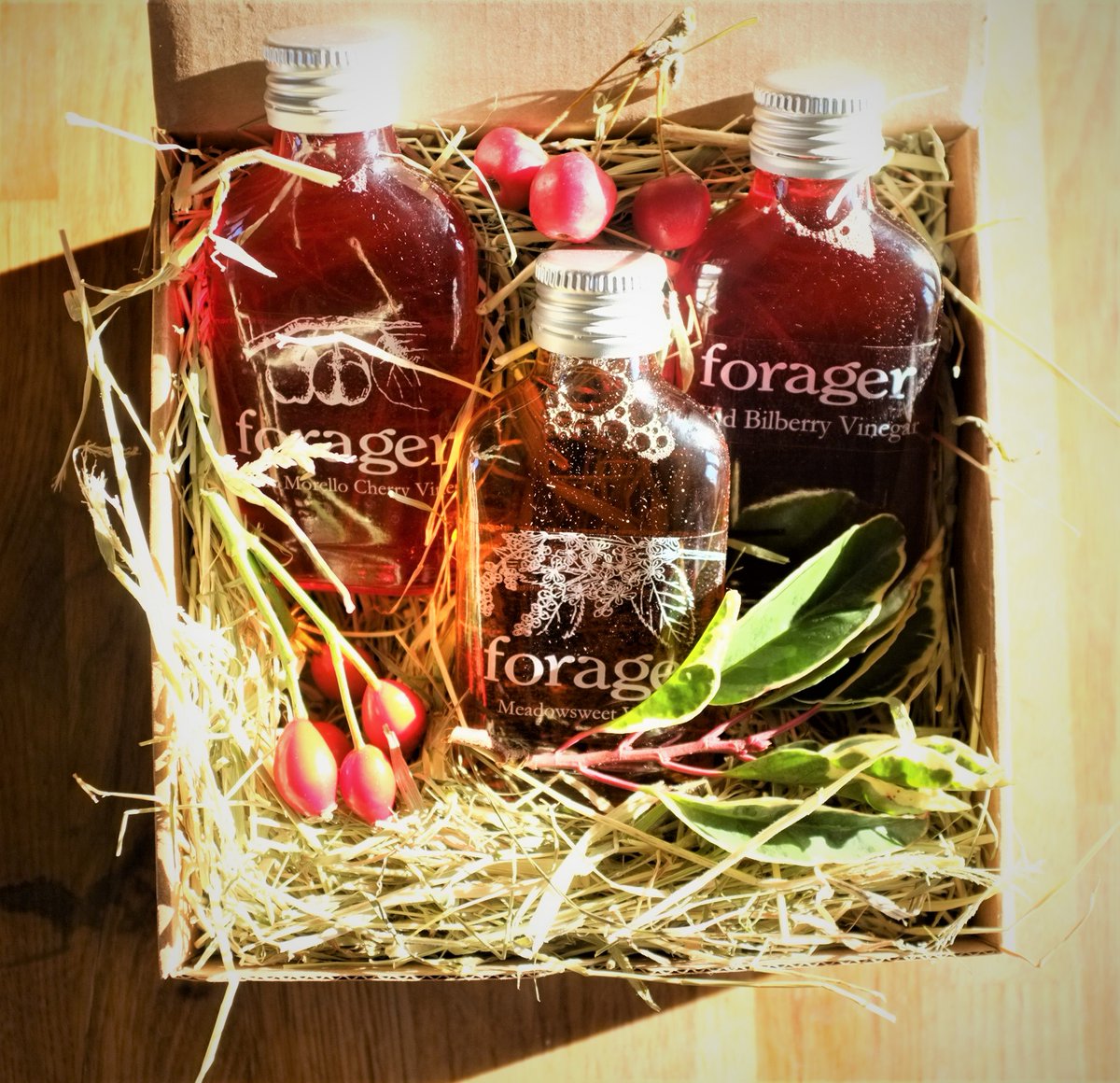 Wild vinegar selection includes our new, limited morello cherry vinegar. Morello cherries are very tart, unlike the sweeter cherries, and this preserve brings to mind those hazy summer days of yore... 
Shop: forager.subbly.me
#cherries