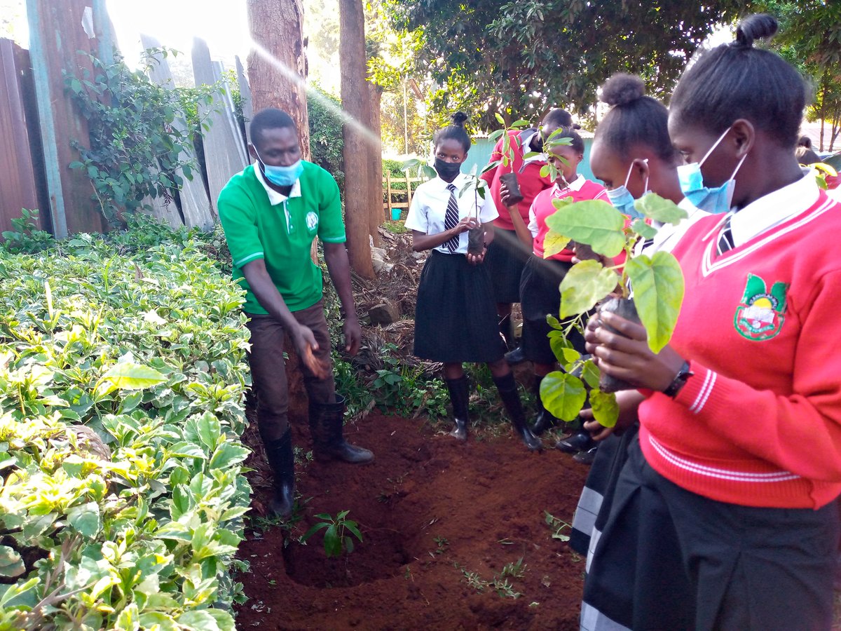 TreesforCities's tweet photo. It's amazing seeing young people all over the world helping make our planet greener and healthier by planting more trees! 🌳💚

#GenerationTree https://t.co/5G6qe17jFV