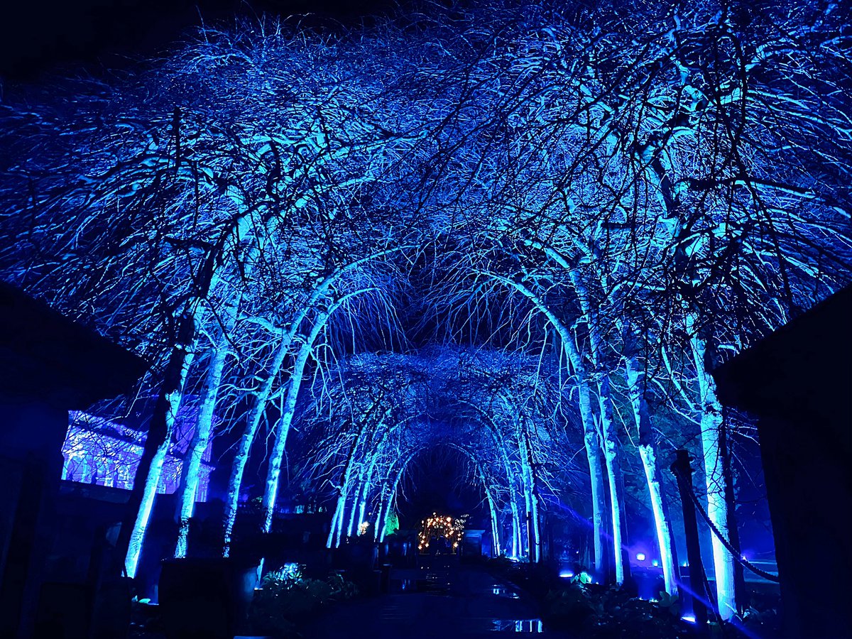 IanOrton2's tweet photo. Magical scenes from  @TrenthamEstate 🤩✨ Loved every bit of it. #ChristmasAtTrentham #FestiveVibes https://t.co/HjPj5n6Ih5