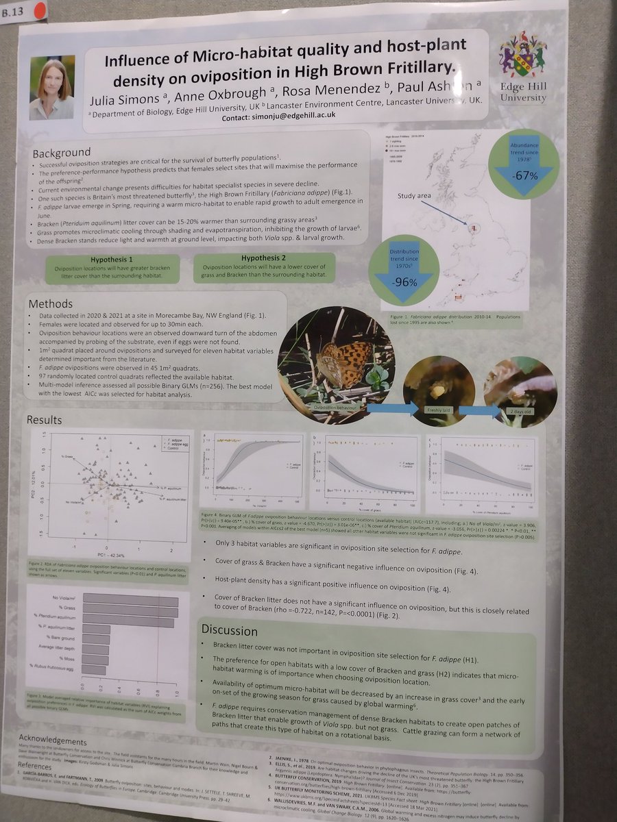 Dee Lau 💙 tweet media