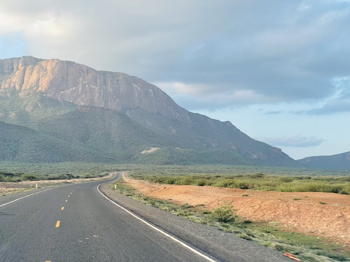 🇵🇸🇵🇸 tweet media