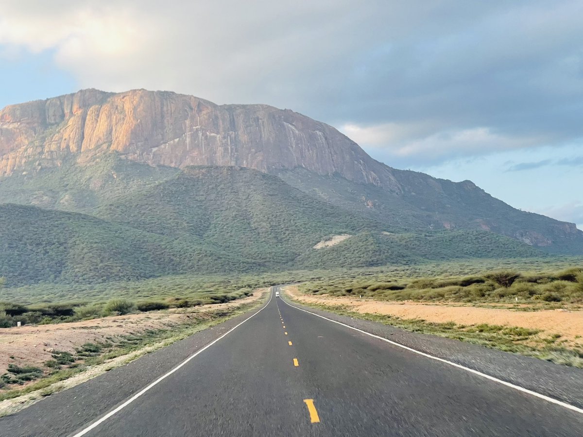 🇵🇸🇵🇸 tweet media