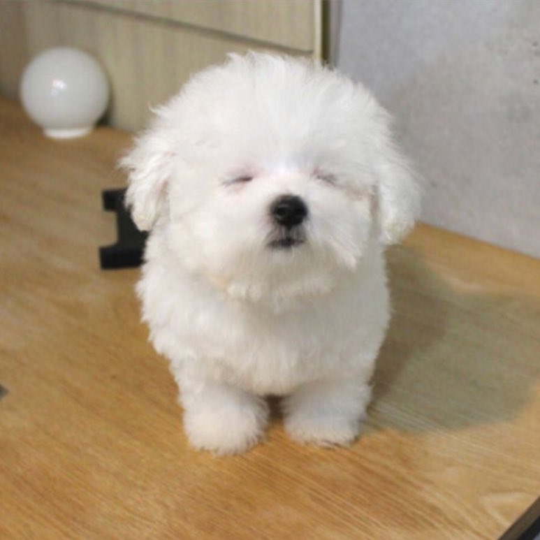 또 (@justhithelotto) on Twitter photo 