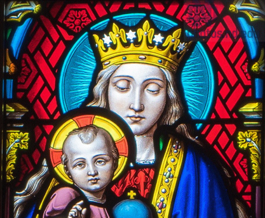 Margaret Fosmoe tweet media