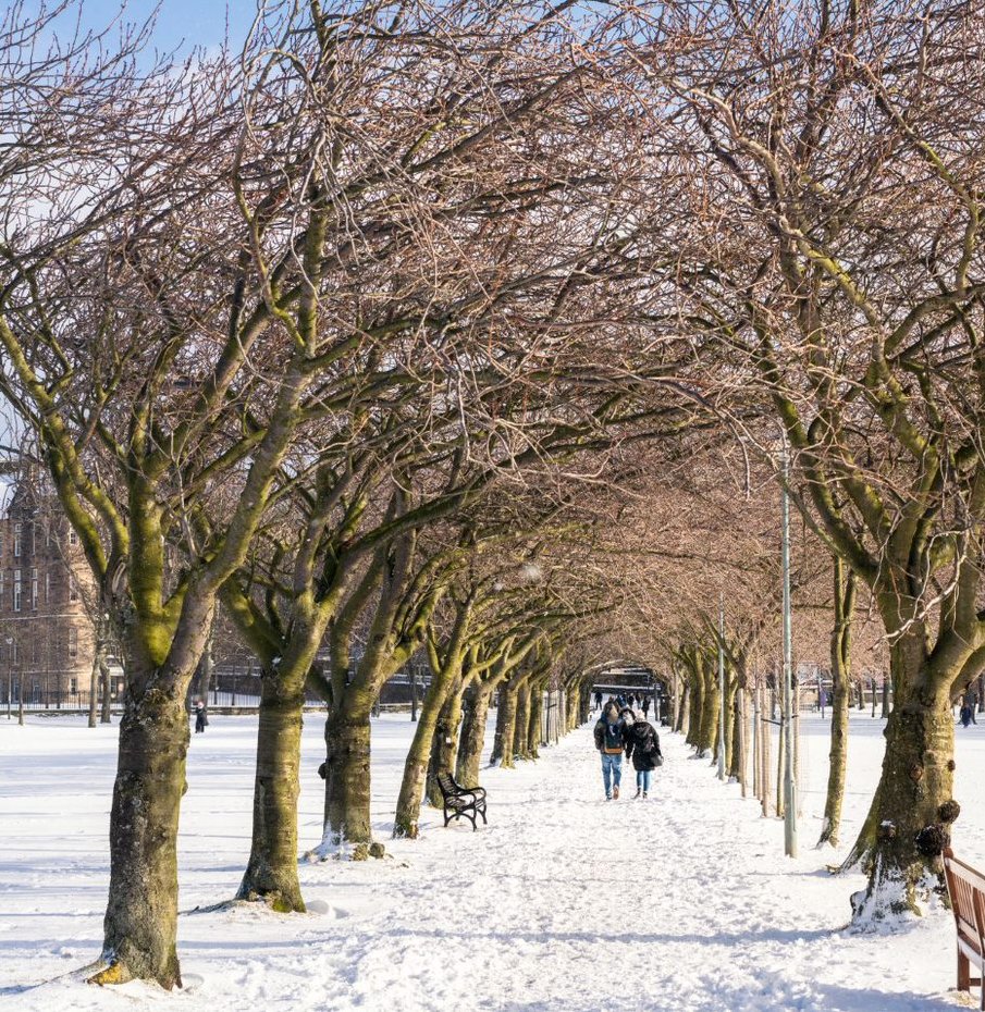 THREAD (1/2): The Scottish Government has advised people in Scotland to reduce the amount of social contact you have with other households, and only gather in groups of no more than 3 households. edin.ac/3EUWnDX