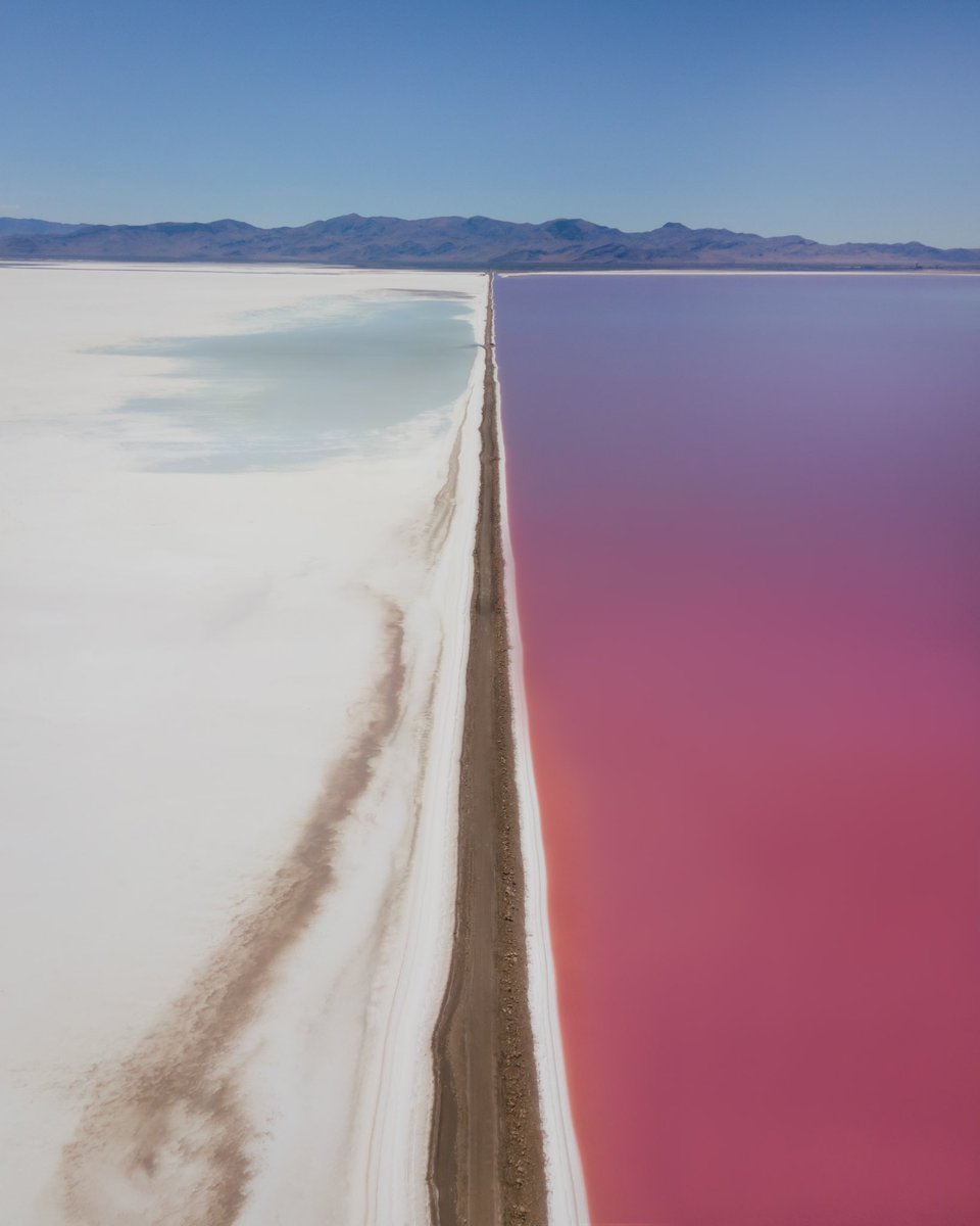 Hayleyshorizons tweet media