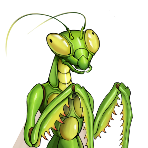 themantisfarm's tweet photo. Hello World. 
#algorand #AlgoNFT  #ALGONFTs #prayingmantis #mantisfarm https://t.co/tzZfpeEiaa