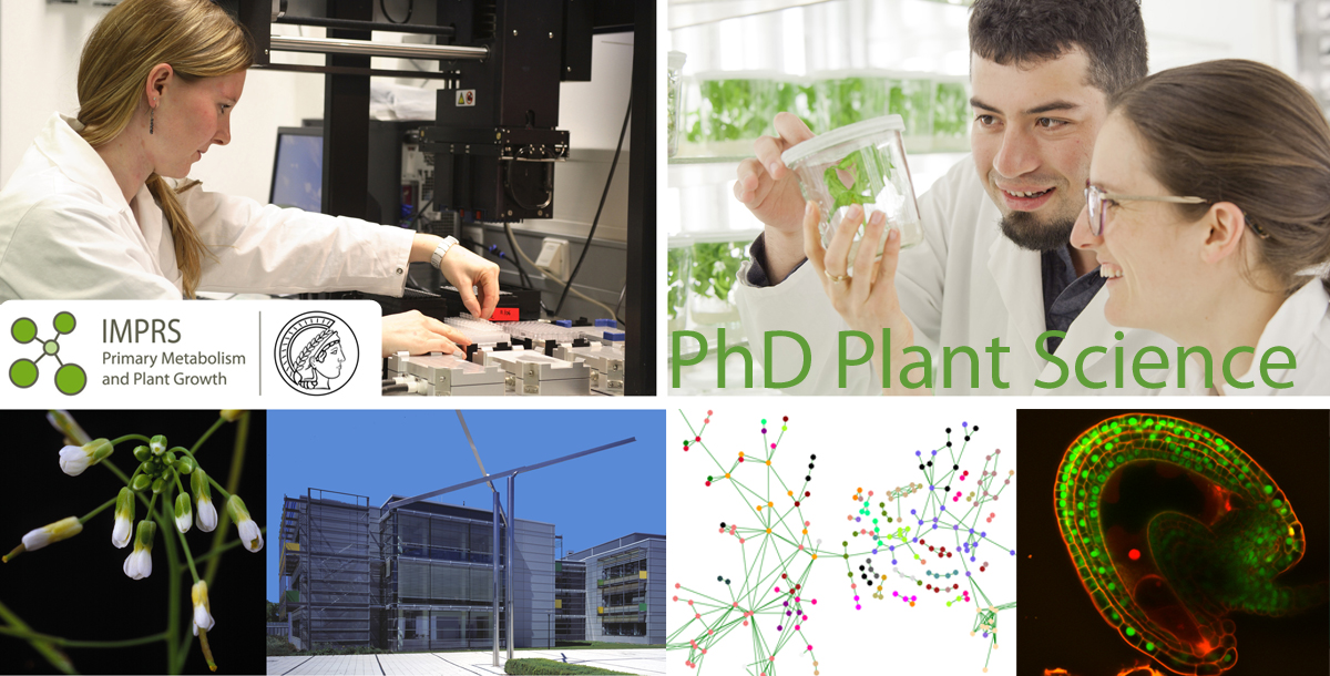 MPIMP Potsdam Golm 🌱🧪 (@mpimp_potsdam) on Twitter photo Looking for a #PhDposition in #PlantScience ?
Our #IMPRS <a href="/MPIMP_Potsdam/">MPIMP Potsdam Golm 🌱🧪</a> and <a href="/unipotsdam/">Universität Potsdam</a> is currently recruiting!
Apply by 23 January 2022:
👉 mpimp-golm.mpg.de/IMPRS-PhD
#PlantSciJobs #PhDjobs #PlantPhysiology #epigenetics #compbio #PlantBiology Looking for a #PhDposition in #PlantScience ?
Our #IMPRS <a href="/MPIMP_Potsdam/">MPIMP Potsdam Golm 🌱🧪</a> and <a href="/unipotsdam/">Universität Potsdam</a> is currently recruiting!
Apply by 23 January 2022:
👉 mpimp-golm.mpg.de/IMPRS-PhD
#PlantSciJobs #PhDjobs #PlantPhysiology #epigenetics #compbio #PlantBiology