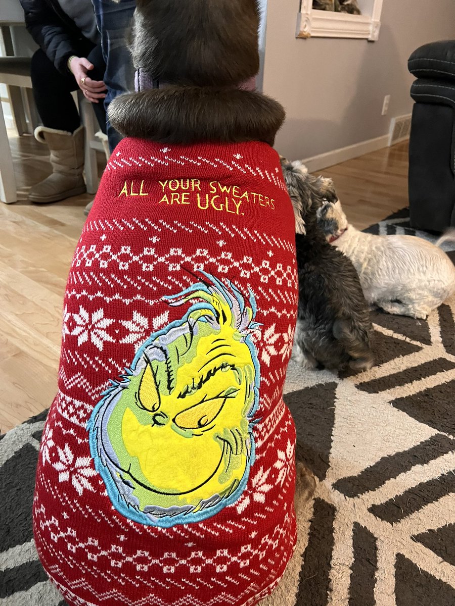 I suuuurrreee luv my sweater, My cousins Scruffy and Bella’s humans got me. Peep a little sneak shot with my cousins too. I luv my furry cousins. <a href="/poopersbella/">Bella</a> <a href="/pooperscruffy/">Scruffy</a>
