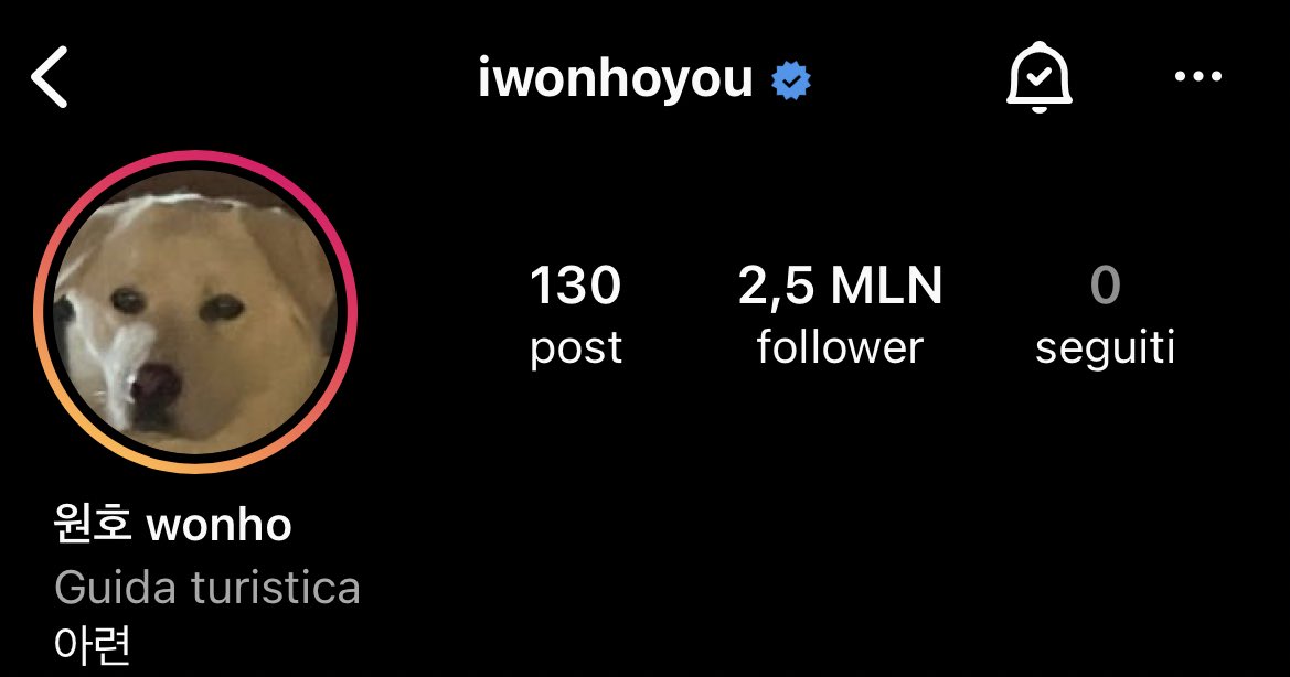 itmxtranslate's tweet photo. [INFO] INSTAGRAM WONHO 14.12.21

Wonho ha cambiato immagine profilo su Instagram e bio

“Pensieroso”

https://t.co/pAtwaL6zwF

@official__wonho #WONHO #원호 https://t.co/dJ3Yx7MtLA