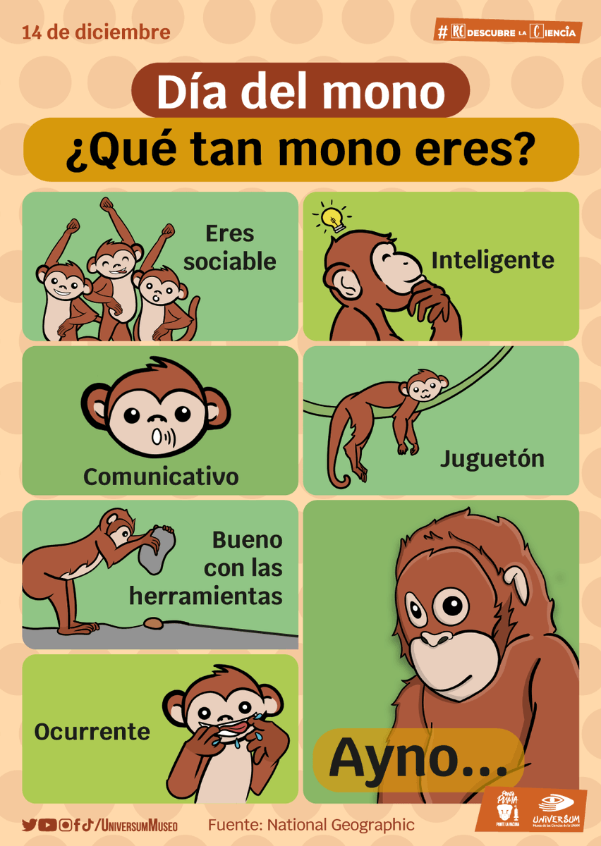 UniversumMuseo's tweet photo. #UnDíaComoHoy es el #DíaDelMono 🙊
#RedescubreLaCiencia https://t.co/lAEvFQTrm4