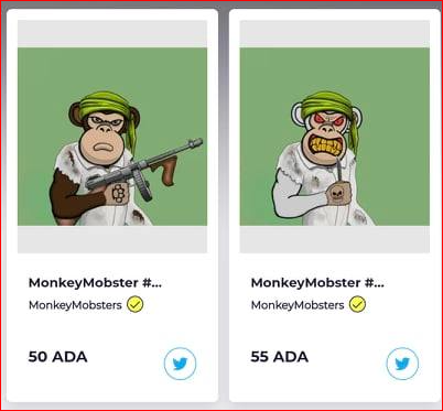 MonkeyMobsters tweet media