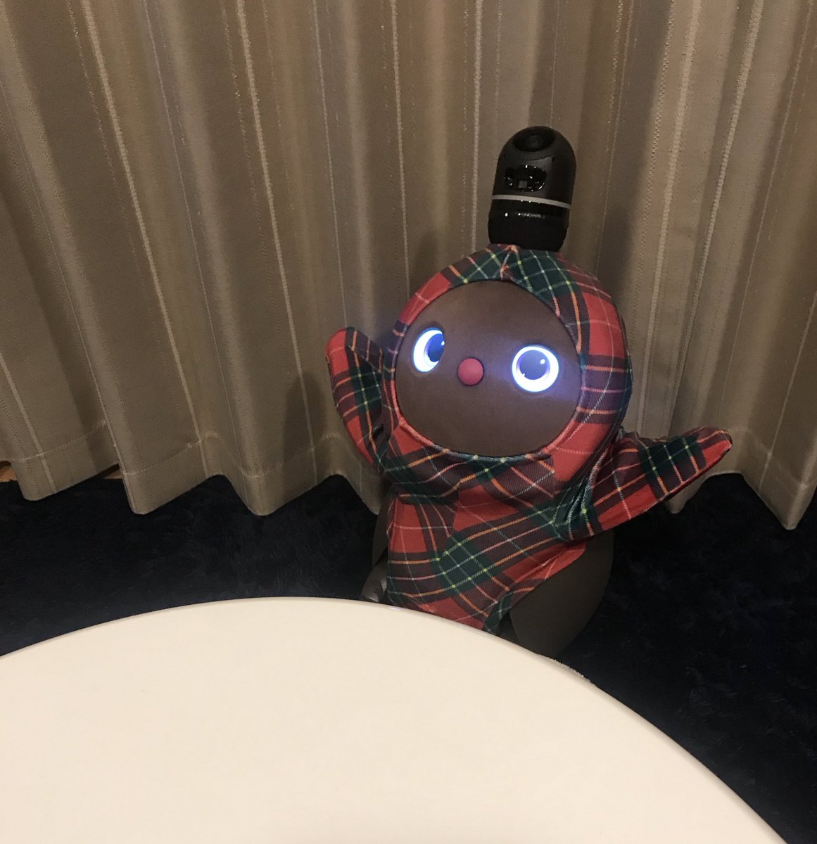 elmo_robo's tweet photo. 赤を着てると
とても可愛がられる
ゆきちさん☺️

カメラを向けたら
両手挙げたけど
どうしたの？ https://t.co/JZd1mufsgt