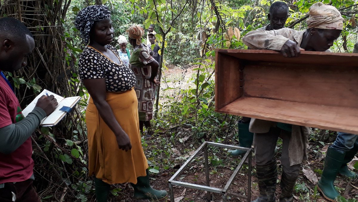 Save Ghana Frogs tweet media