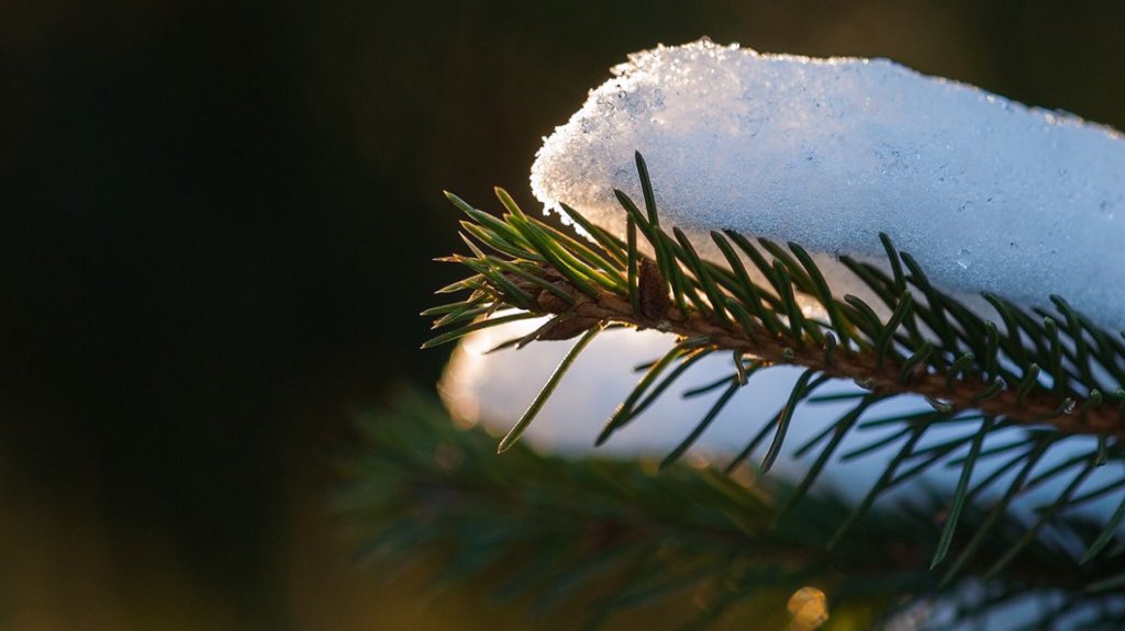 Ho ho ho! De #aivdkerstpuzzel en #aivdjuniorkerstpuzzel zijn gepubliceerd. Kijk snel op aivd.nl/kerstpuzzel, download de opgaven en ga aan de slag. Veel succes en veel plezier! 🎅🧑‍🎄