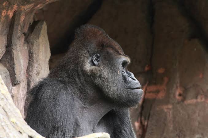 uma02pena's tweet photo. @wa5t2a7ru こういう感じで映りました？ https://t.co/jNHxr5LptP