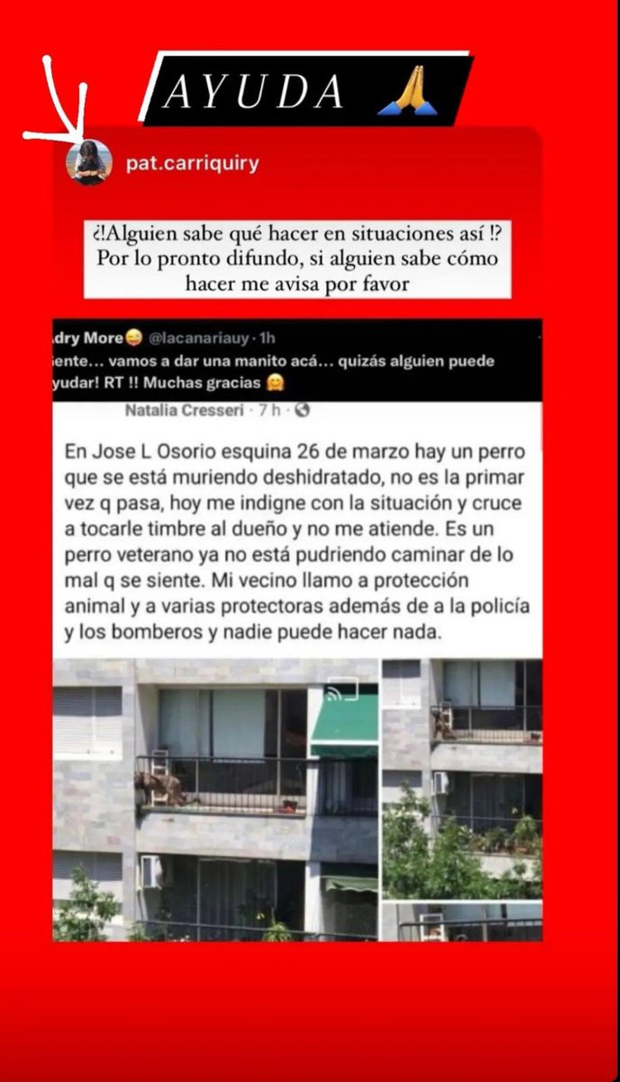 andreamarshall6's tweet photo. Una amiga me pidió difundir para que no siga sufriendo. Inhumano quien maltrata así a un animal, debería ir preso. Mejor salven al perro y lo dejen a el  en esas condiciones a ver cuánto aguanta https://t.co/nBMS5K5rHf