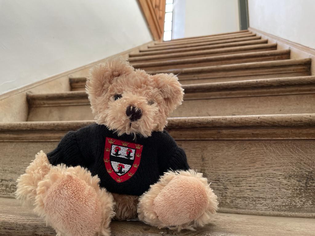 JesusCollegeCam's tweet photo. You've heard of Elf on the Shelf, now get ready for...
#WhereIsJC https://t.co/xg64er4XOU