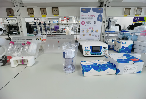 Merck_lifesci's tweet photo. In this Lab View from our M Lab in Shanghai, China, you can see what our benches look like for a day of research โ western blots to the right and protein concentration to the left. Join the fun; show off your benchtop or the view outside your lab window with #LabViews! https://t.co/fOeS7WJ0A7