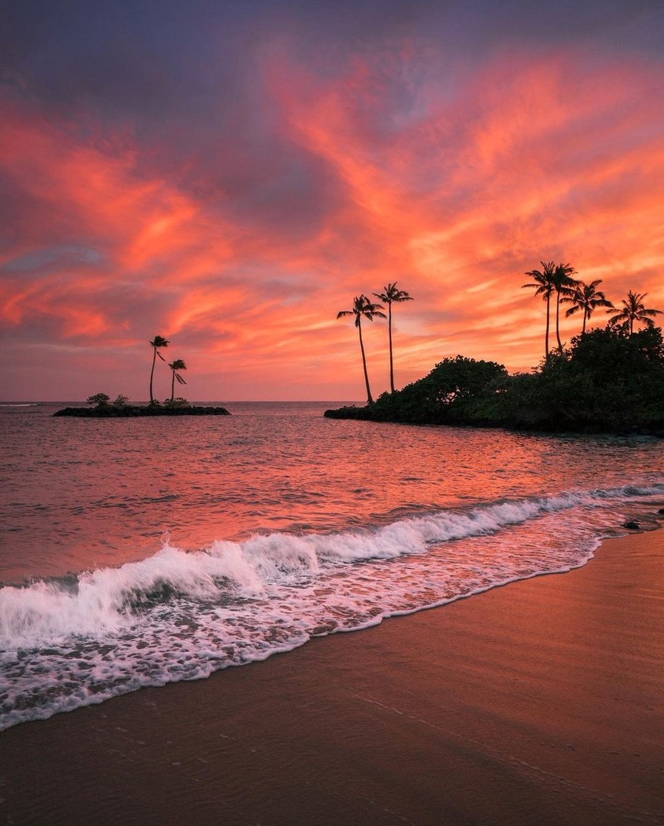 aestheticspost_ tweet picture