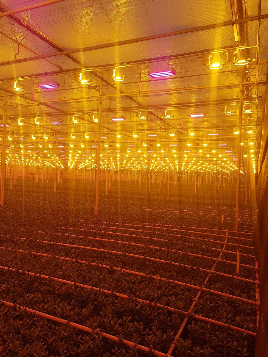 Ook hier is lightshine bezig, #reflectoren #reinigen Www lightshine.nl
