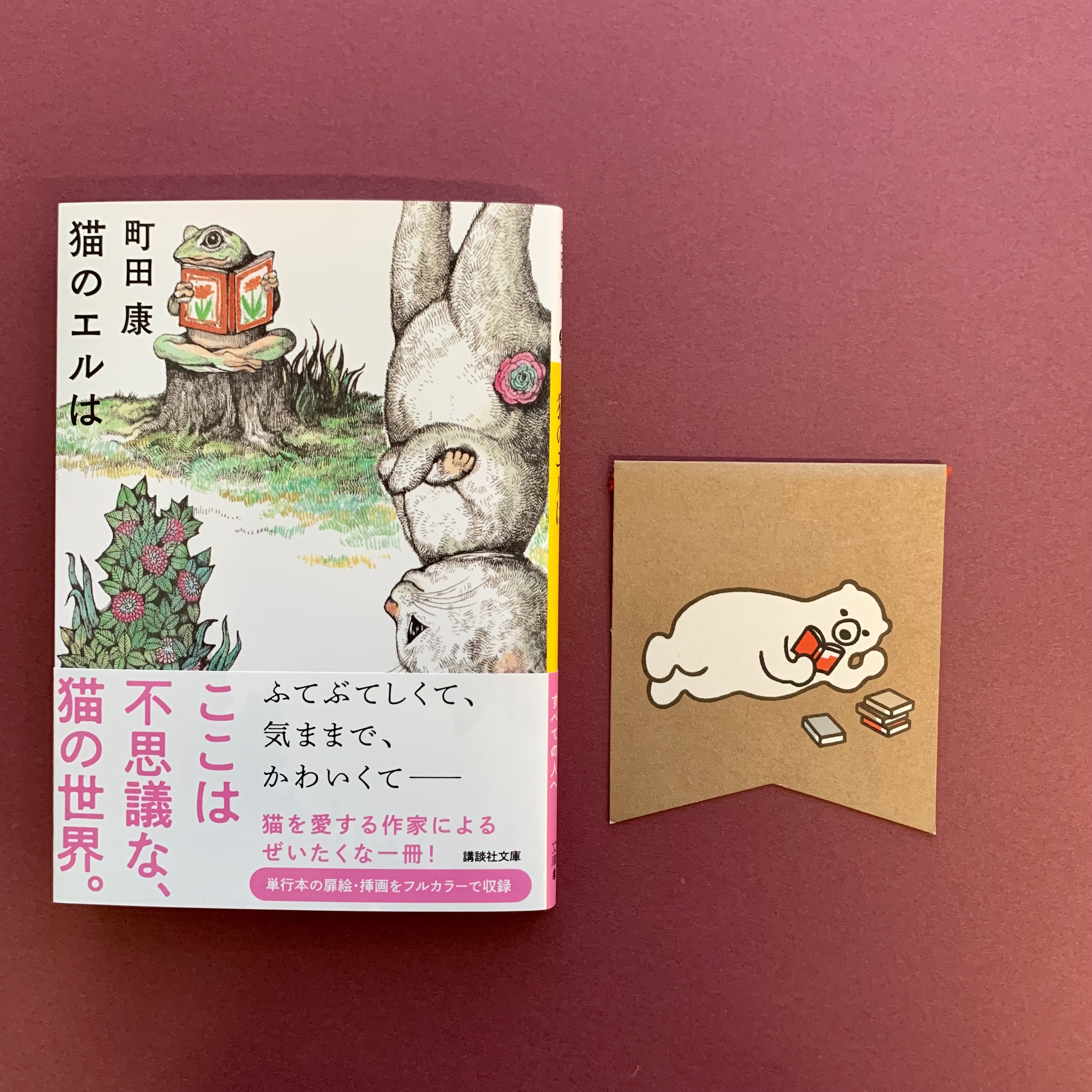 講談社文庫 12月刊 町田康著 猫のエルは 猫の眼で 世界はこんなふうに見えています フルカラーの扉絵 挿画と共に贈る 五つの物語 カバー装画 扉絵 挿画 ヒグチユウコ カバーデザイン 名久井直子 T Co Ahlzw0uws6 新刊 猫 猫好き
