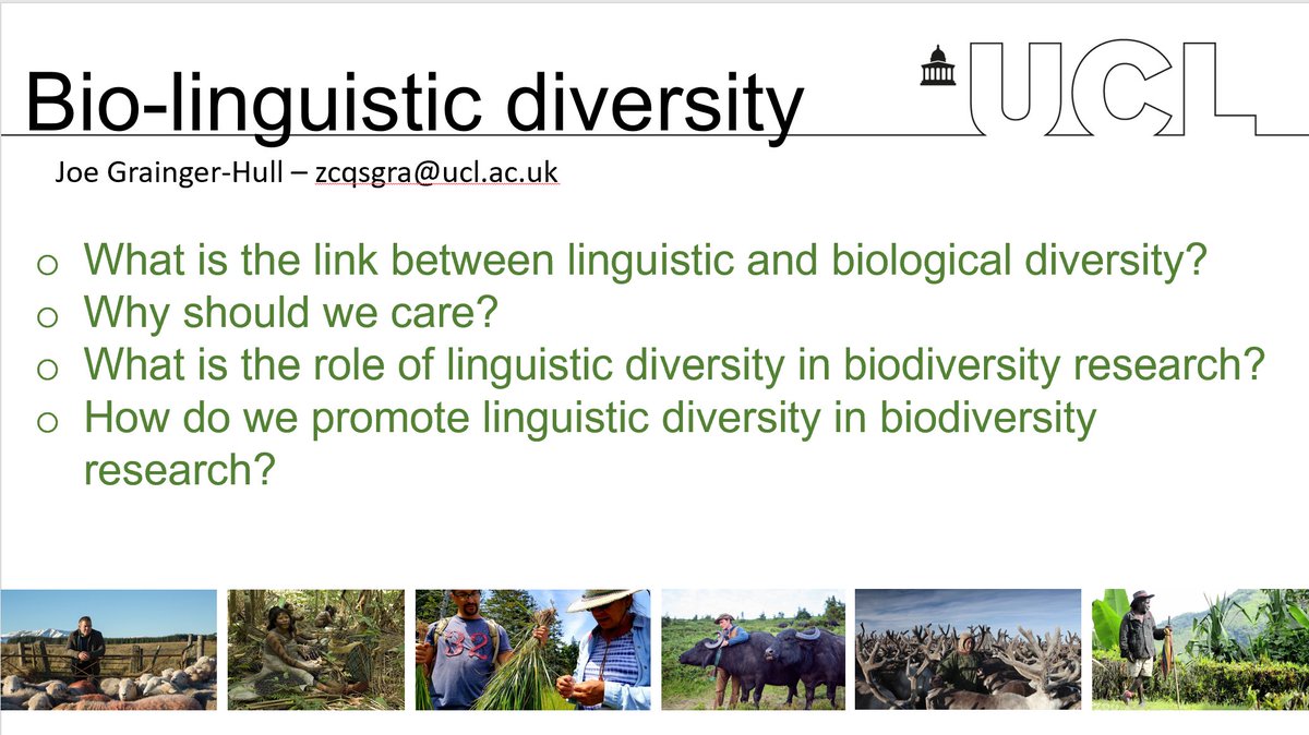 Moses Gee tweet media