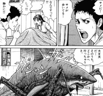 危険生物の番組でイタチザメが日本上陸って表現に違和感ありました。
ギョですか? 