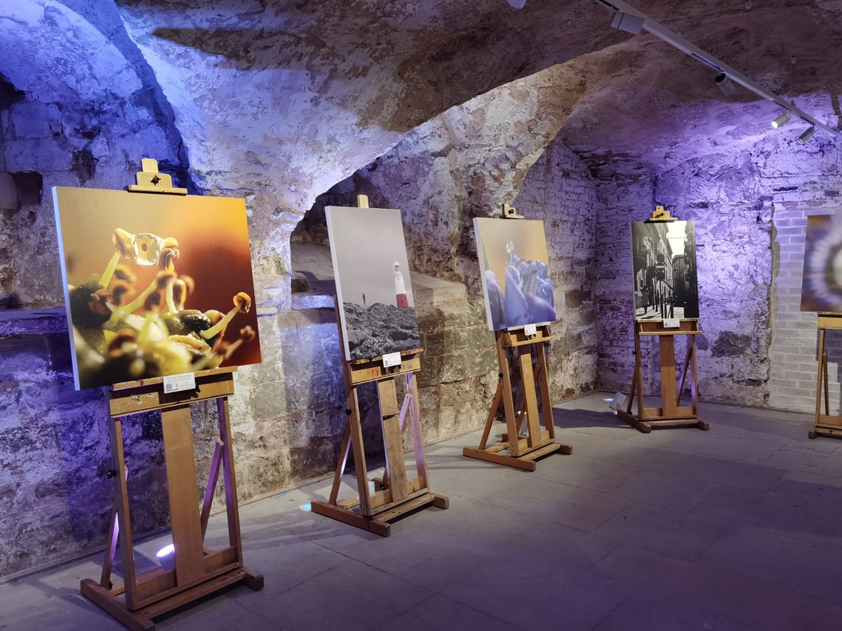 WorcUndercroft's tweet image. We are delighted that our beautiful space at @WorcCathedral was chosen to host a spectacular display of creative work by students studying Creative Media and Animation from @worcester_uni 
@MediaWorcester 

#ChapterOne #DigitalMedia #DesignStudents #WorcesterUni