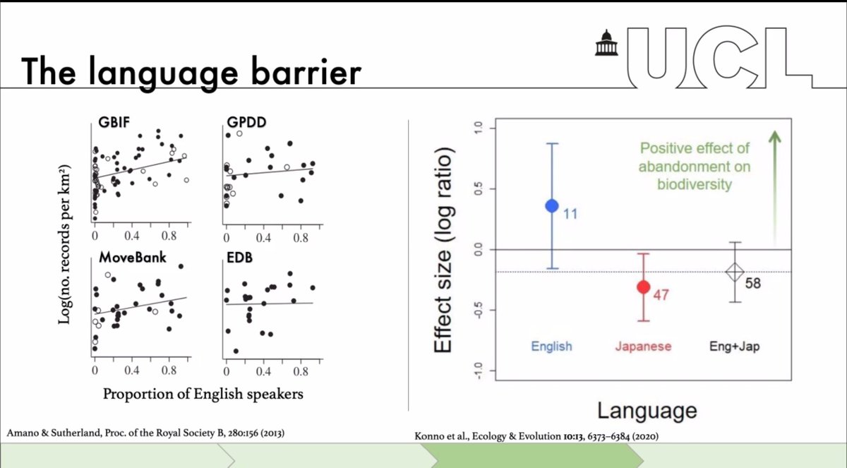 Moses Gee tweet media