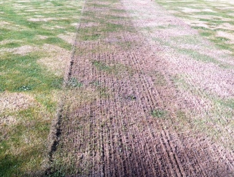 LawnAssociation's tweet photo. Right at the beginning of the season is a good time to take a #thatch measurement. This will give advance warning of possible problems if it gets out of control further into the #growing season.
#LawnAssocation https://t.co/WPg6jL2NfT