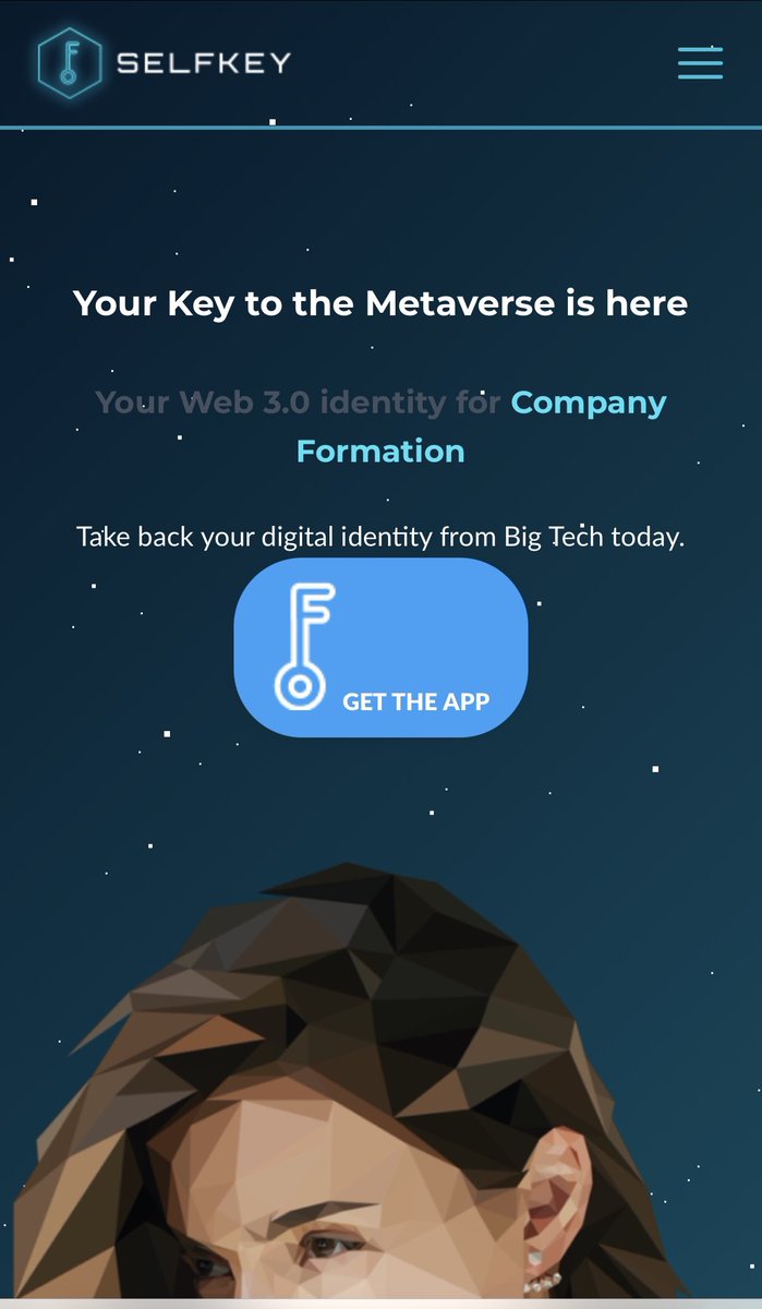Selfkey Türkiye tweet media