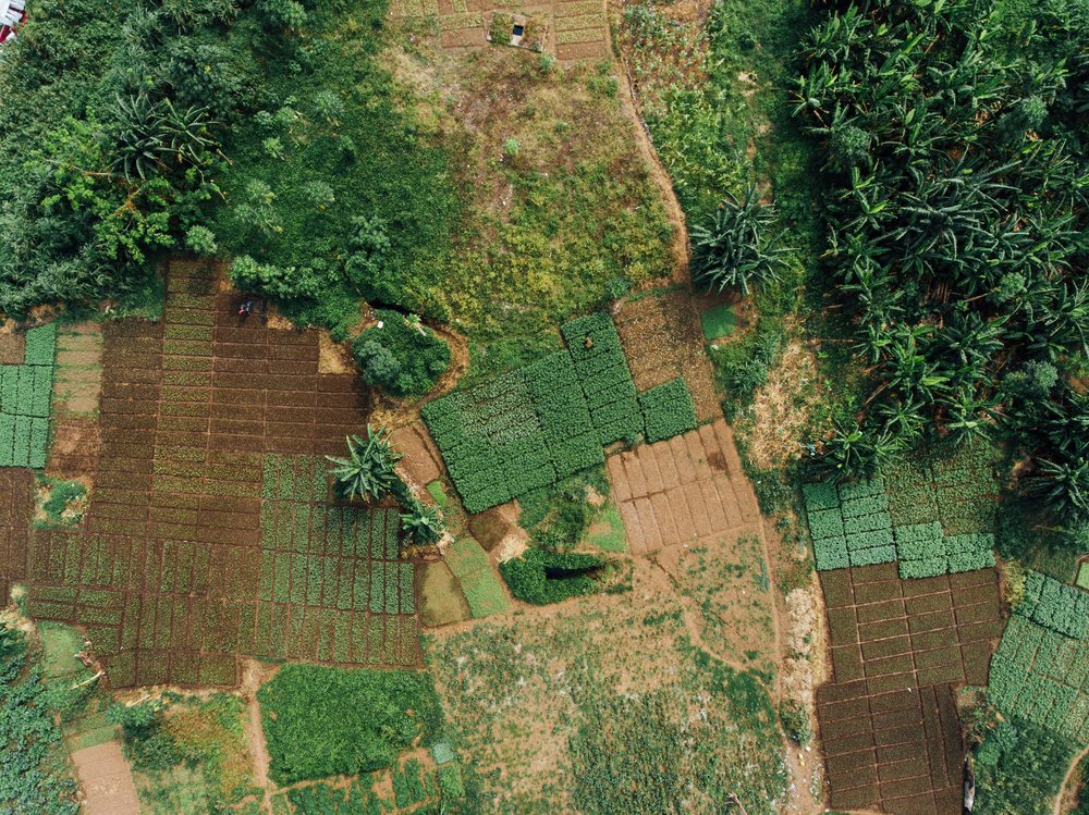 AfDB_Group's tweet photo. African Development Bank loans #Nigeria $210 million to co-finance Phase 1 of the Special Agro-Industrial Processing Zone Program that will help unlock the country's agriculture sector potential. #FeedAfrica #SAPZ

📃 https://t.co/LWXvWBJkEl https://t.co/P07USPiddi