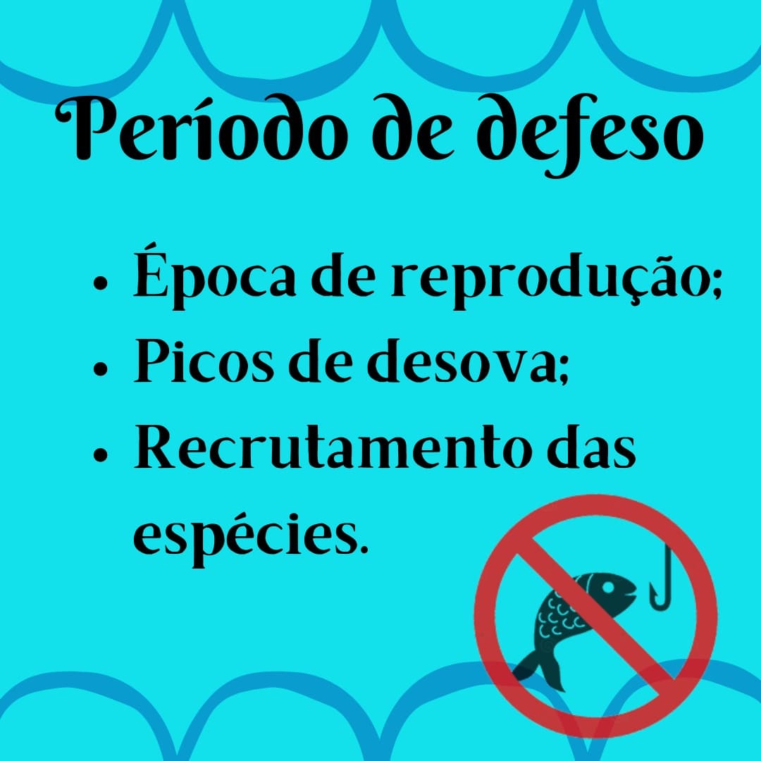 labictioufs's tweet photo. Venha saber mais sobre o período de defeso e as áreas de exclusão à pesca! 😉

Acesse para mais informações: https://t.co/uBsHgt2rqZ https://t.co/a8RmQcrWTv