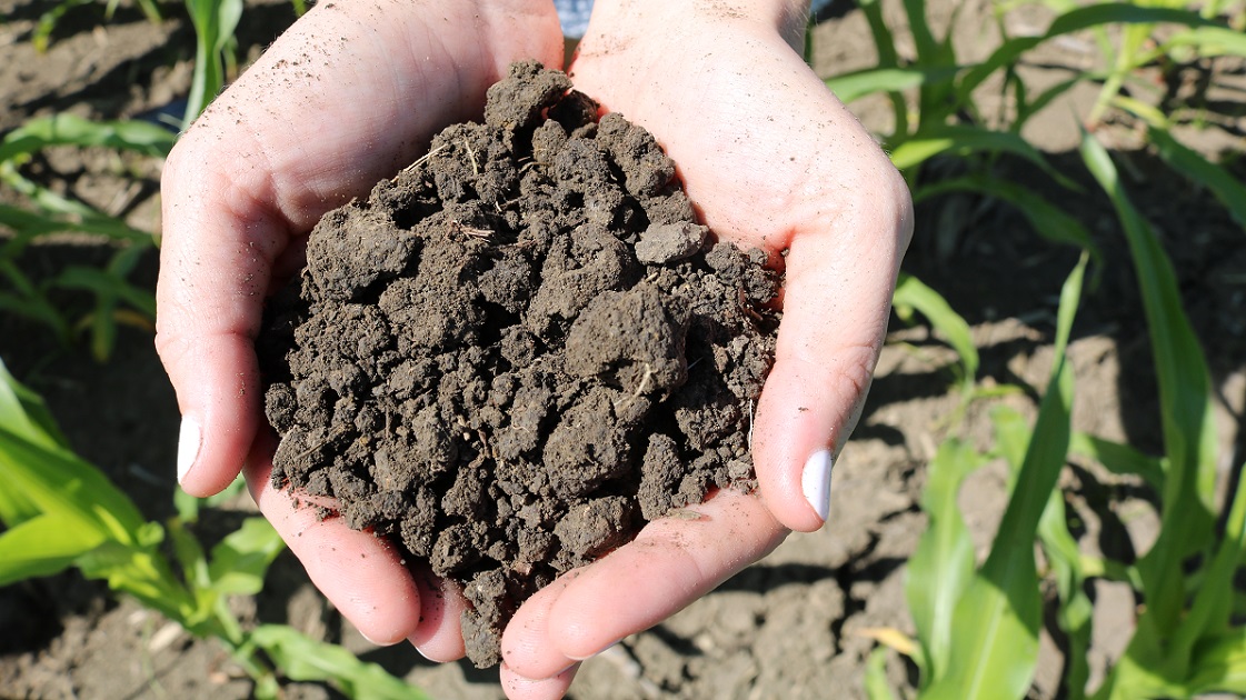 BASFAgro's tweet photo. What is #CarbonFarming? Kasey Bamberger, a third-generation farmer in Ohio (USA), talks about a few carbon farming practices that are implemented on her farm. 👉 https://t.co/jcVR3jAvj8 #BetterYield #FindingTheRightBalance #ClimateProtection https://t.co/b2d40lzczJ