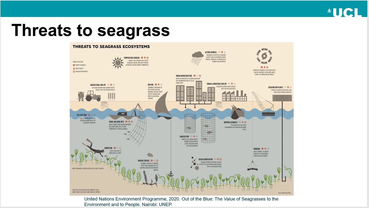 Moses Gee tweet media