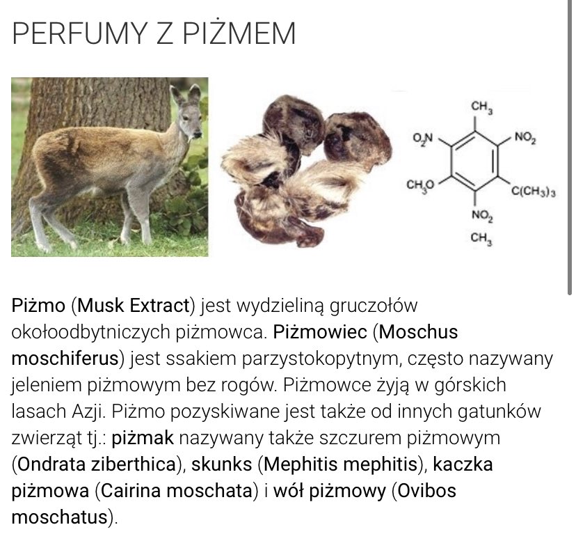 fretka_official's tweet image. kurwa mac dlaczego nikt wcześniej mi nie powiedział ze piżmo to nie jest roślina tylko wydzielina z OKOLICY ODBUTY JAKIEGOŚ ZWIERZĘCIA