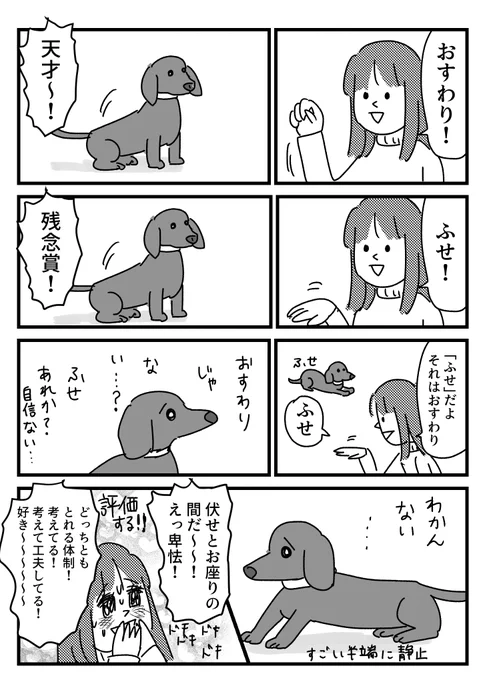 犬のふせチャレンジの話 
おまけはブログに→ https://t.co/LgLqMbNORn 
顔色伺って「正解やろ?おやつくれよ」って態度含めて全部かわいい 