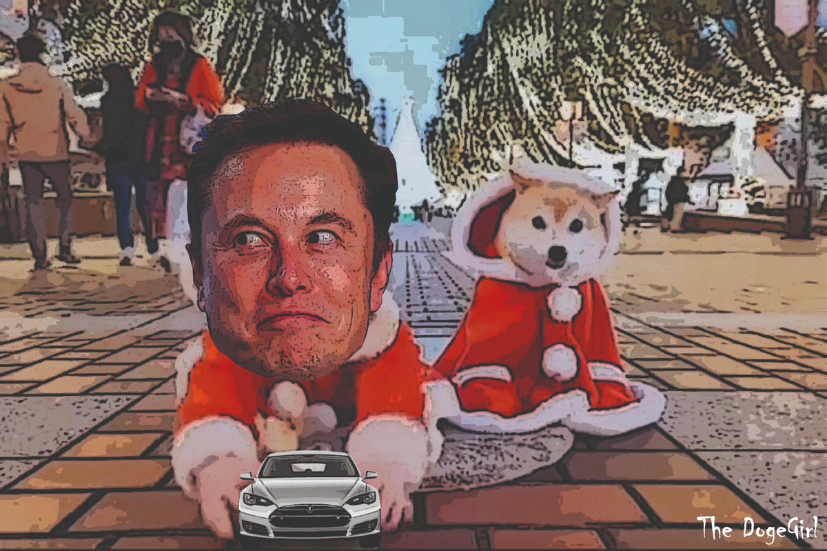 catandradec's tweet photo. After Elon's Tweet I think that this Christmas many will be able to buy a Tesla with Doge

#DogeForTesla https://t.co/CjVaej5vvf