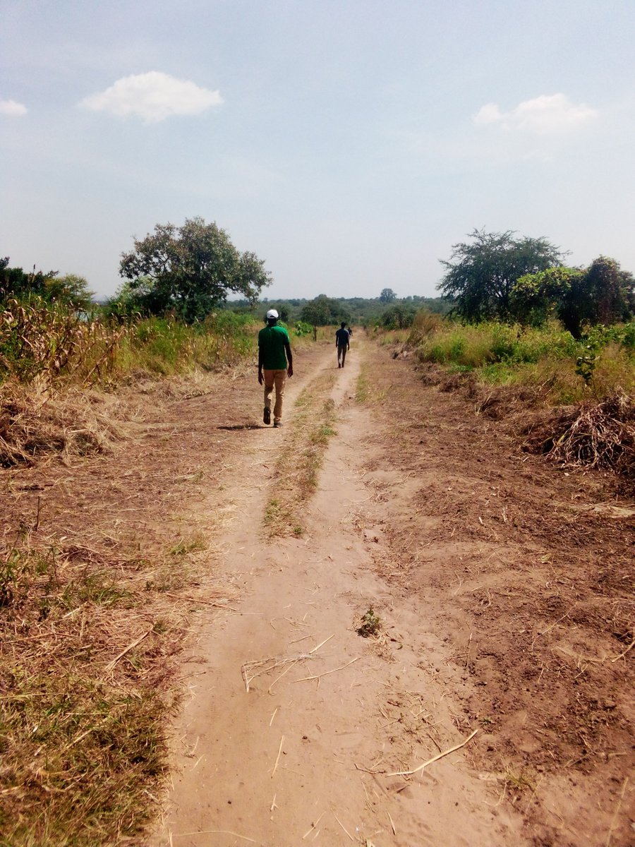 YuguYobo's tweet photo. #Infrastructure: Roads enhance farm-to-market access in areas with agricultural potential and improve rural connectivity to social services
Opari Atapi  13 Km community Access road constructed with support from @SpedpS  BRACE II PROJECT in Magwi County, EES https://t.co/WNt1tCgEI4