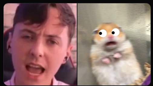 daz_line's tweet photo. @GBNEWS @darrengrimes I have it on 100% reliable authority that on the day of the infamous Grimey Daz #craftywank, Fluffy the school hamster "mysteriously disappeared" ... Coincedence? I think not! ... Where is Fluffy now?. #SaveFluffy #JusticeForFluffy https://t.co/6jSlVdl3bE