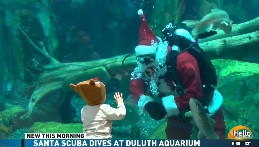 amiebechtel's tweet photo. SCUBA SANTA?! Too cool! Love it @GLAquariumMN
#HelloWisconsin #HelloSanta https://t.co/ohkesN4JpT