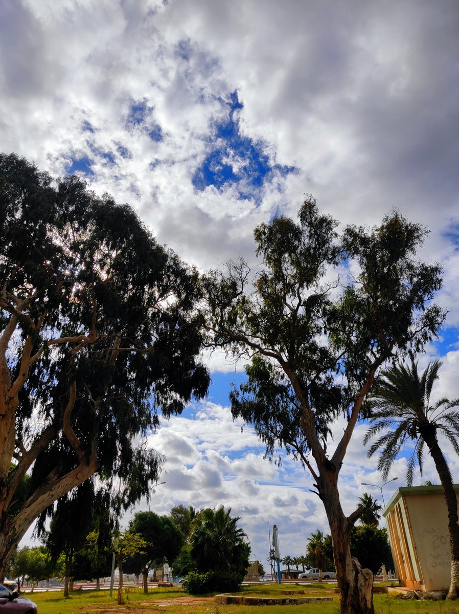 7amadMu's tweet photo. الحاجة الوحيده الي مصبرتني علي مشية الكلية 🌧️ https://t.co/casxQaoeQf