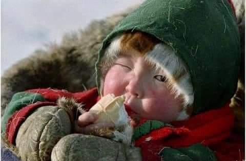 дед мороз купается. мороженое зимой на улице. кушать мороженое на улице зимой. мороженое ссср. зима мороженка.