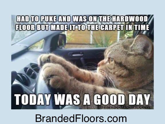 Today was a Good Day... 
and BrandedFloors.com does provide and install Carpet 🐈

•
#carpet #hardwood #carpetinstallation #todaywasagoodday #catlife #cat #mckinneymoms