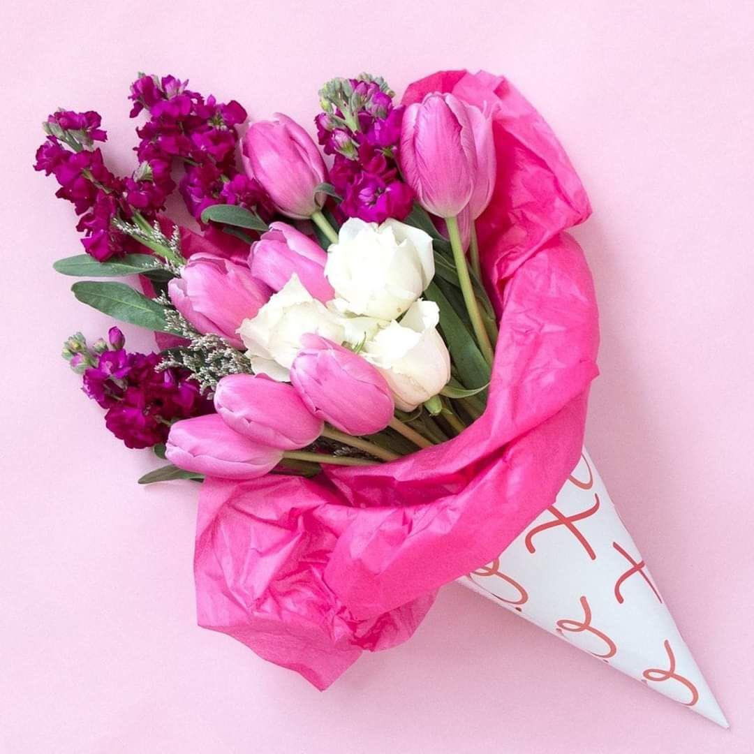 مساء الخير..🎀
 للمُسالمين الذين يزرعون وردًا في القلوب إن استطاعوا، وإن عجزوا ،يمرّون مرور الكرام لا يقطفون..💜