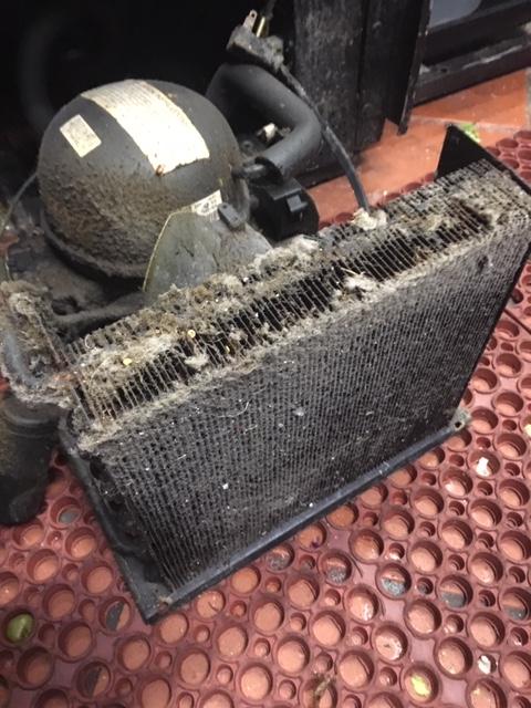 SmithcoServices's tweet photo. #ReachinCooler coil needs to be clean to optimize performance
#Refrigeration https://t.co/RwfmhCvw9g